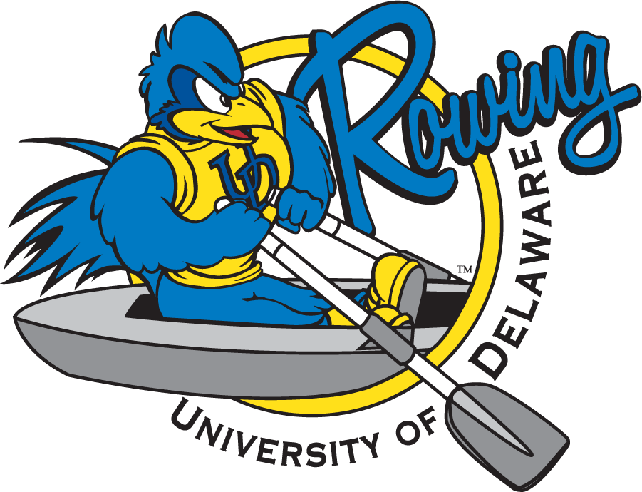 Delaware Blue Hens 1999-2009 Mascot Logo v4 DIY iron on transfer (heat transfer)